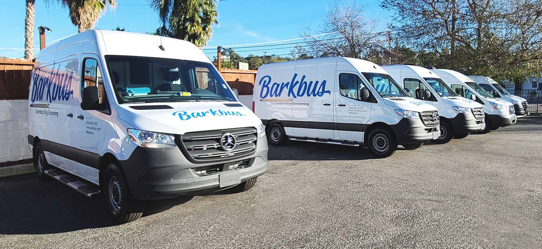 Barkbus vehicle branding with brand name decals made of opaque vinyl