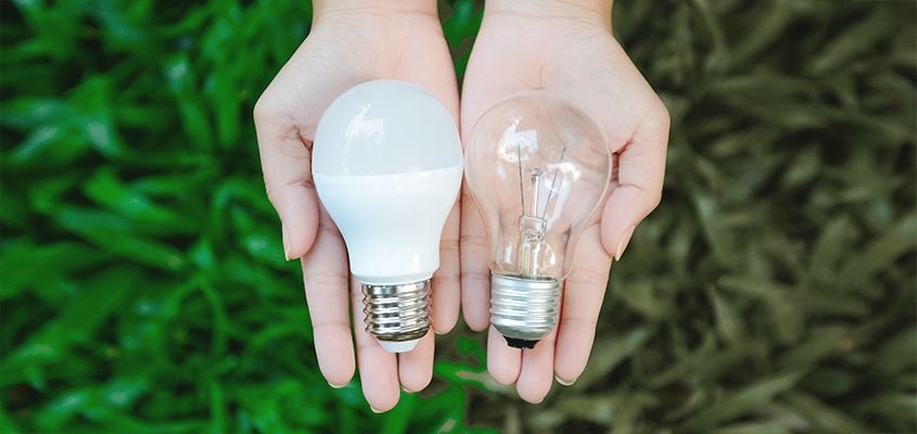 LED lights as biodegradable items