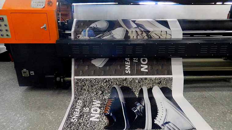 Shoe Company Vinyl Decal
