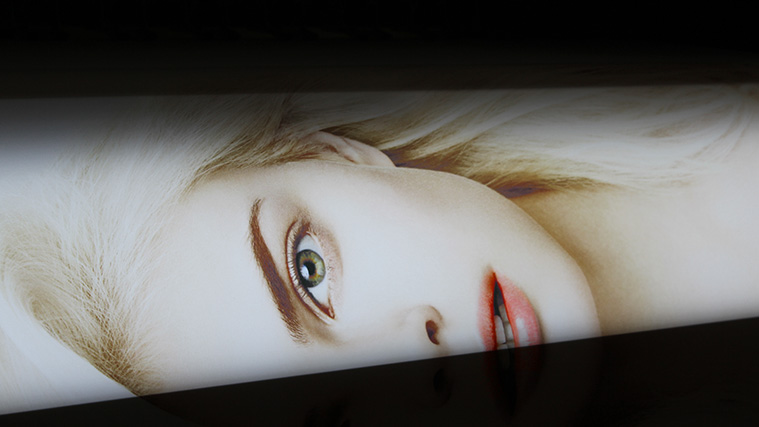Translucent vinyl printing