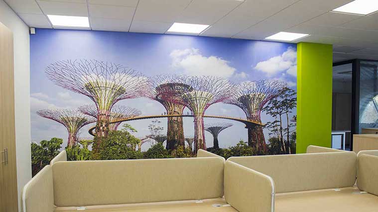 Vinyl Interior Decals