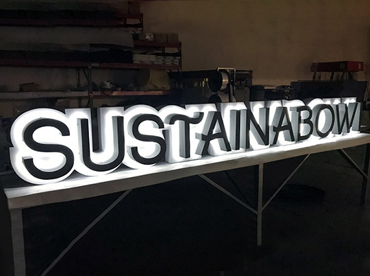 Custom Reverse Lit Letters