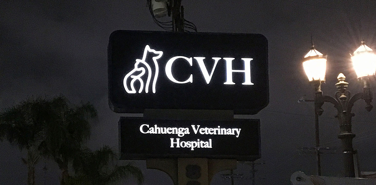 Cahuenga Veterinary Hospital large illuminated branding solution