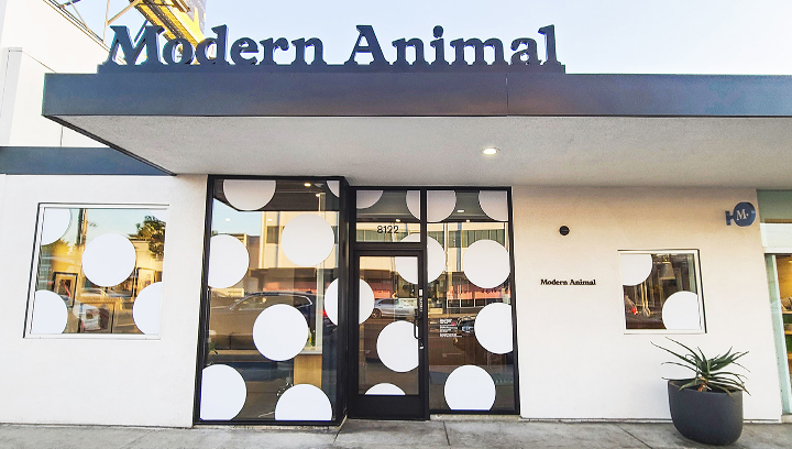 Modern Animal custom window signs in white circle shapes made of opaque vinyl
