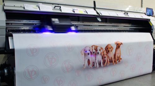 puppies printed on banner