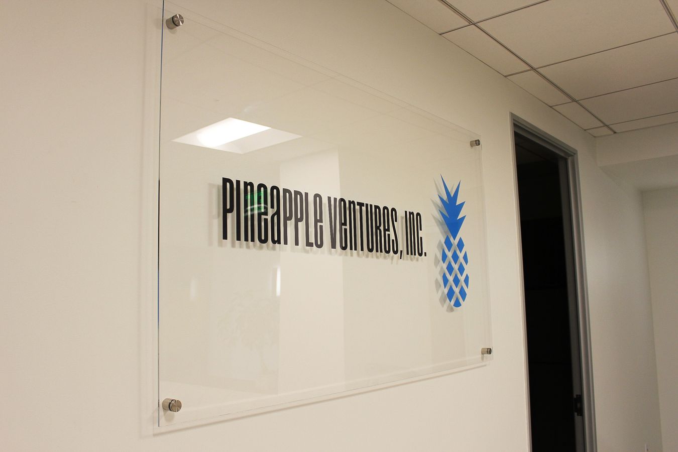 Pinapple Ventures Inc sign