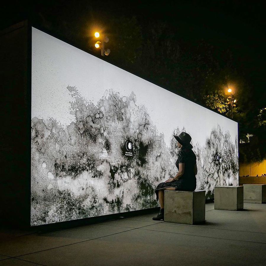 illuminated wall art installation