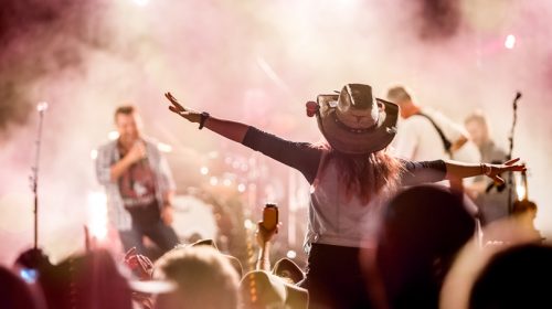 crowd at a music event