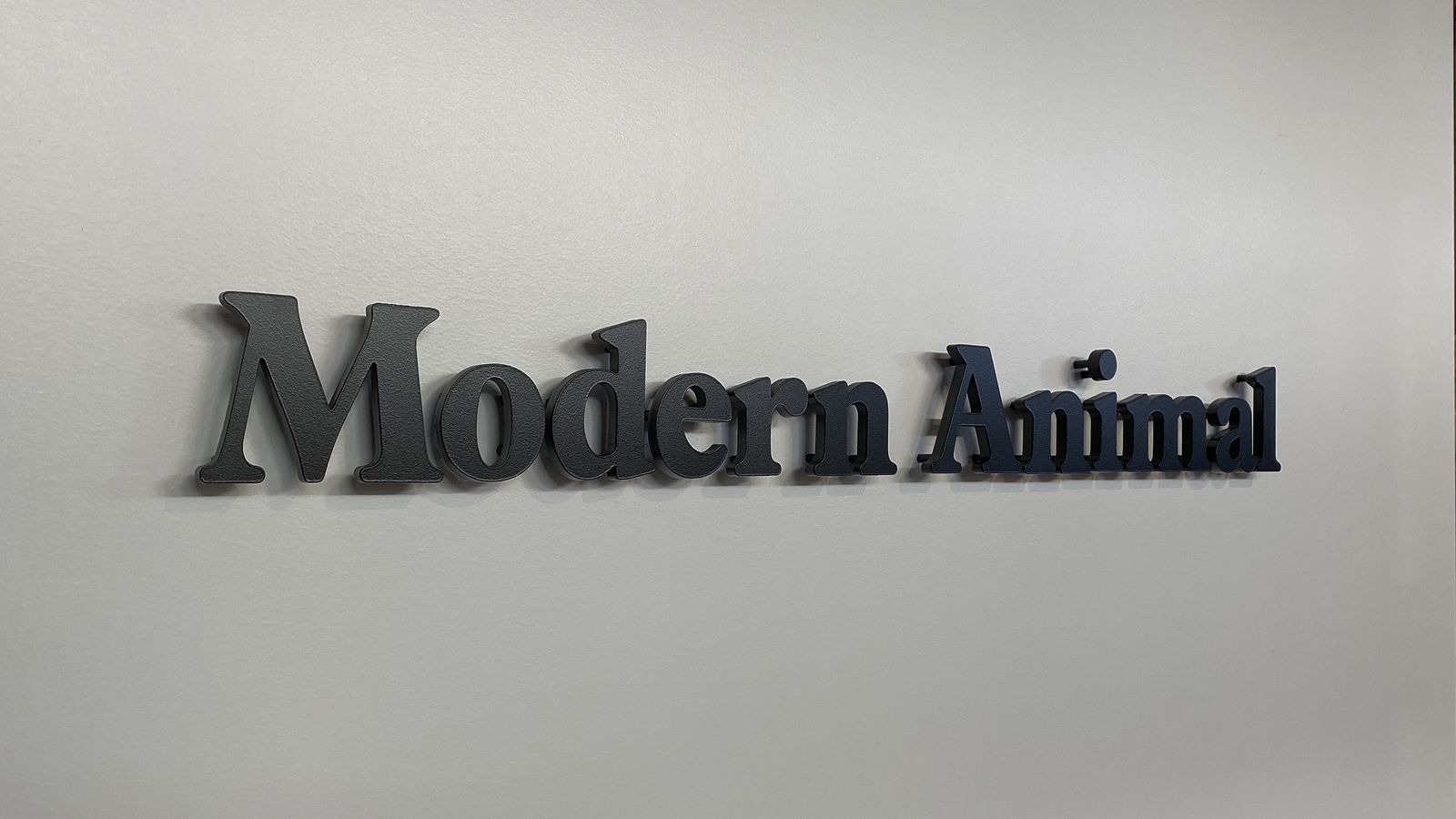 Modern Animal 3d acrylic letters sign painted in black color for interior branding