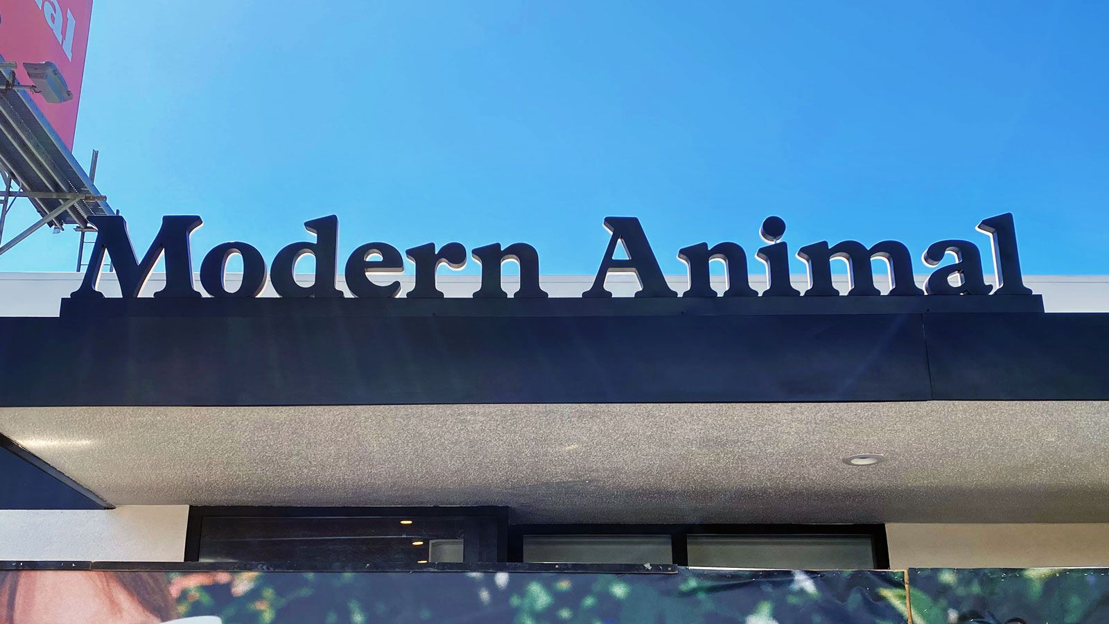 modern animal light up letters