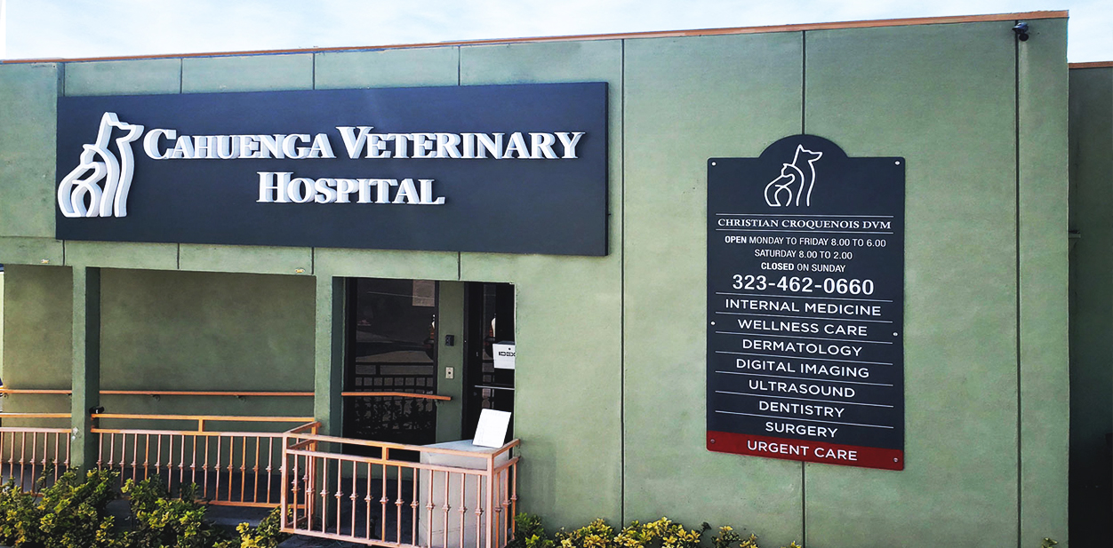 Outdoor business sign ideas combined at the Cahuenga Veterinary Hospital