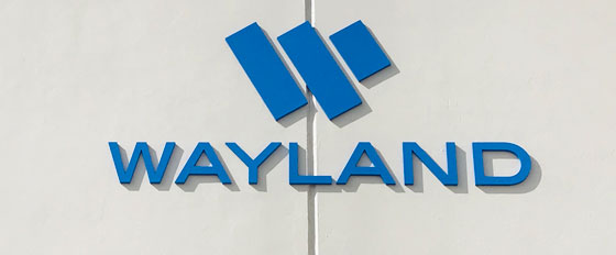 Wayland acrylic laser cut letters idea