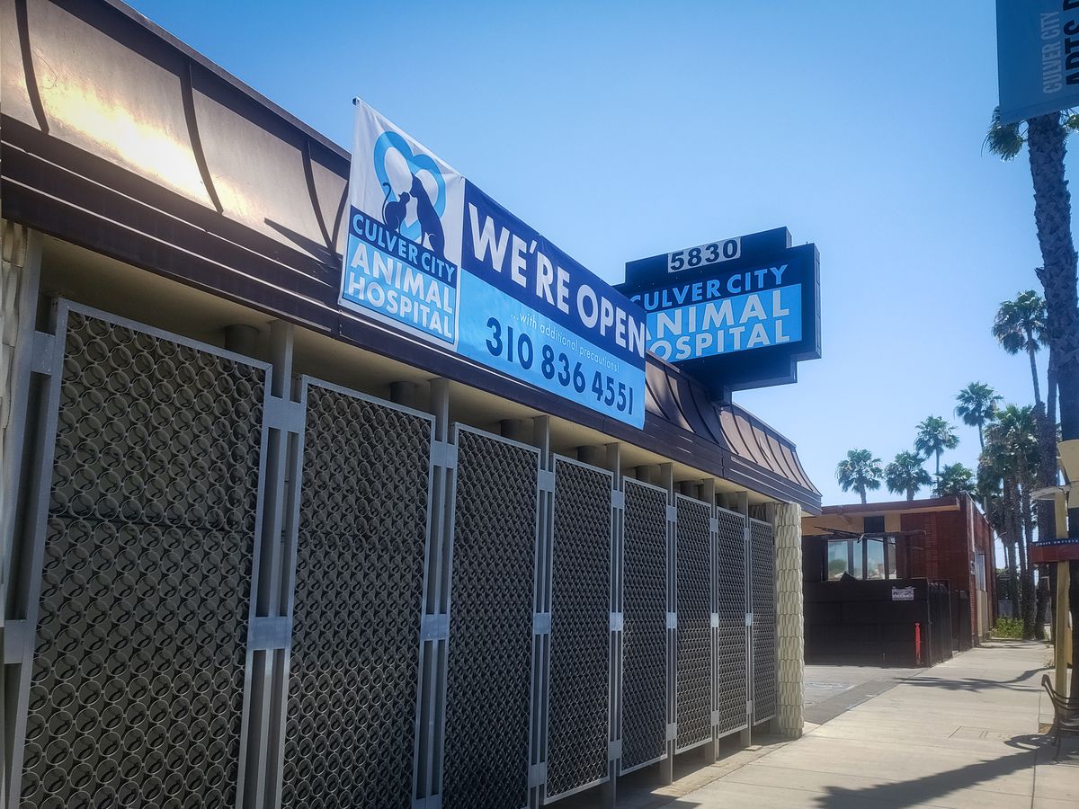 animal hospital banner