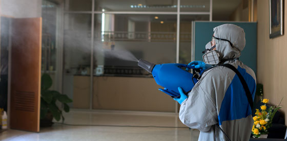 office disinfection office disinfection