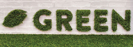Green restaurant Eco-friendly interior design idea