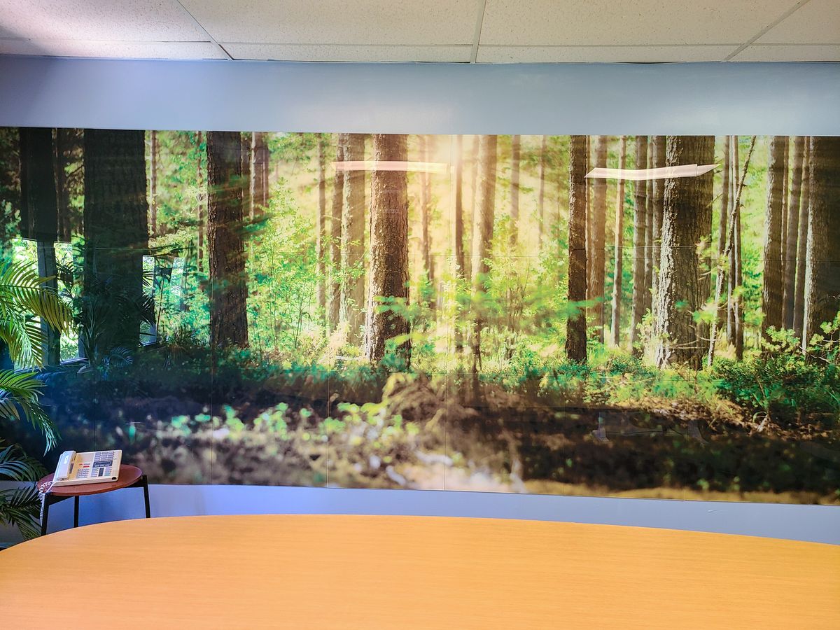 direct-mounted interior wall sign with a forest photo made of acrylic for decorating
