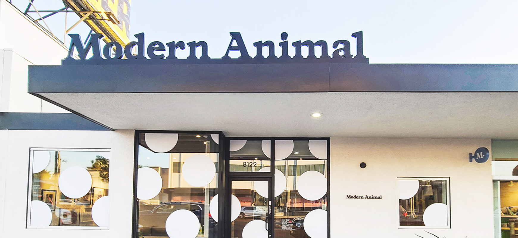 Modern Animal custom store window sign made of opaque vinyl for outdoor branding