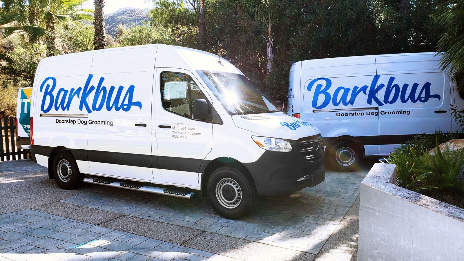 Barkbus van decals
