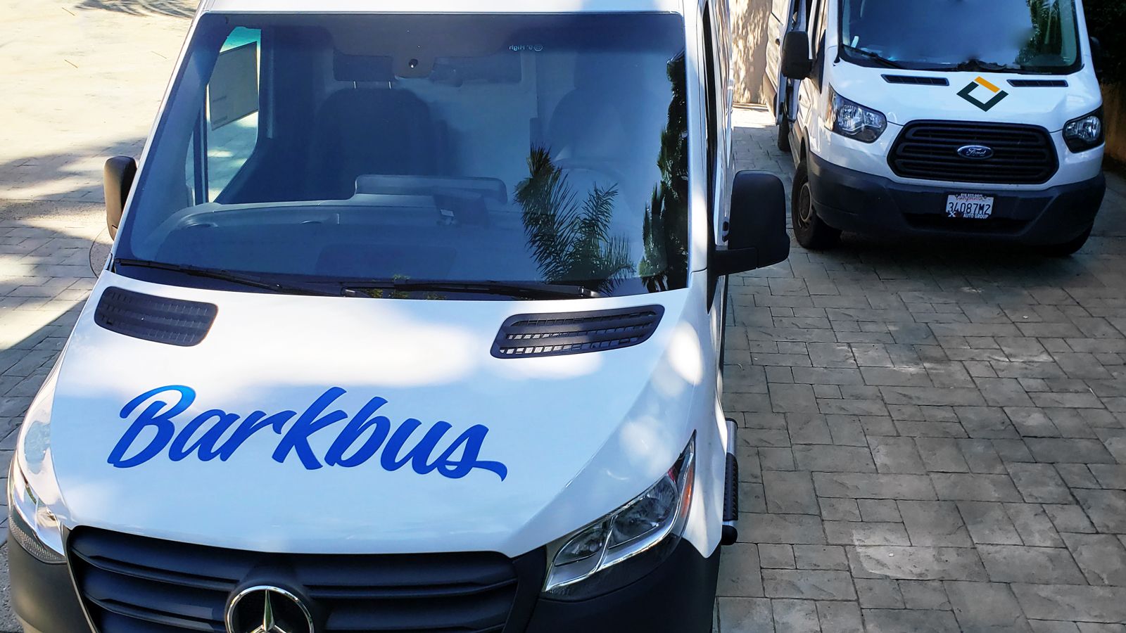 Barkbus vinyl van decals