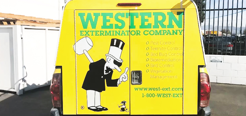 Business branding idea displayed on the car from Western Exterminator Company