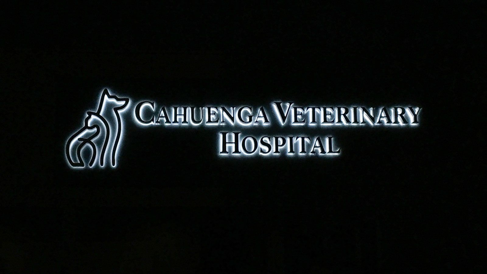 Veterinary hospital backlit letters