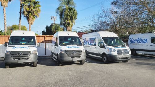 Barkbus company vehicle wraps