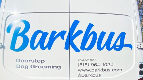 Barkbus custom vehicle decals