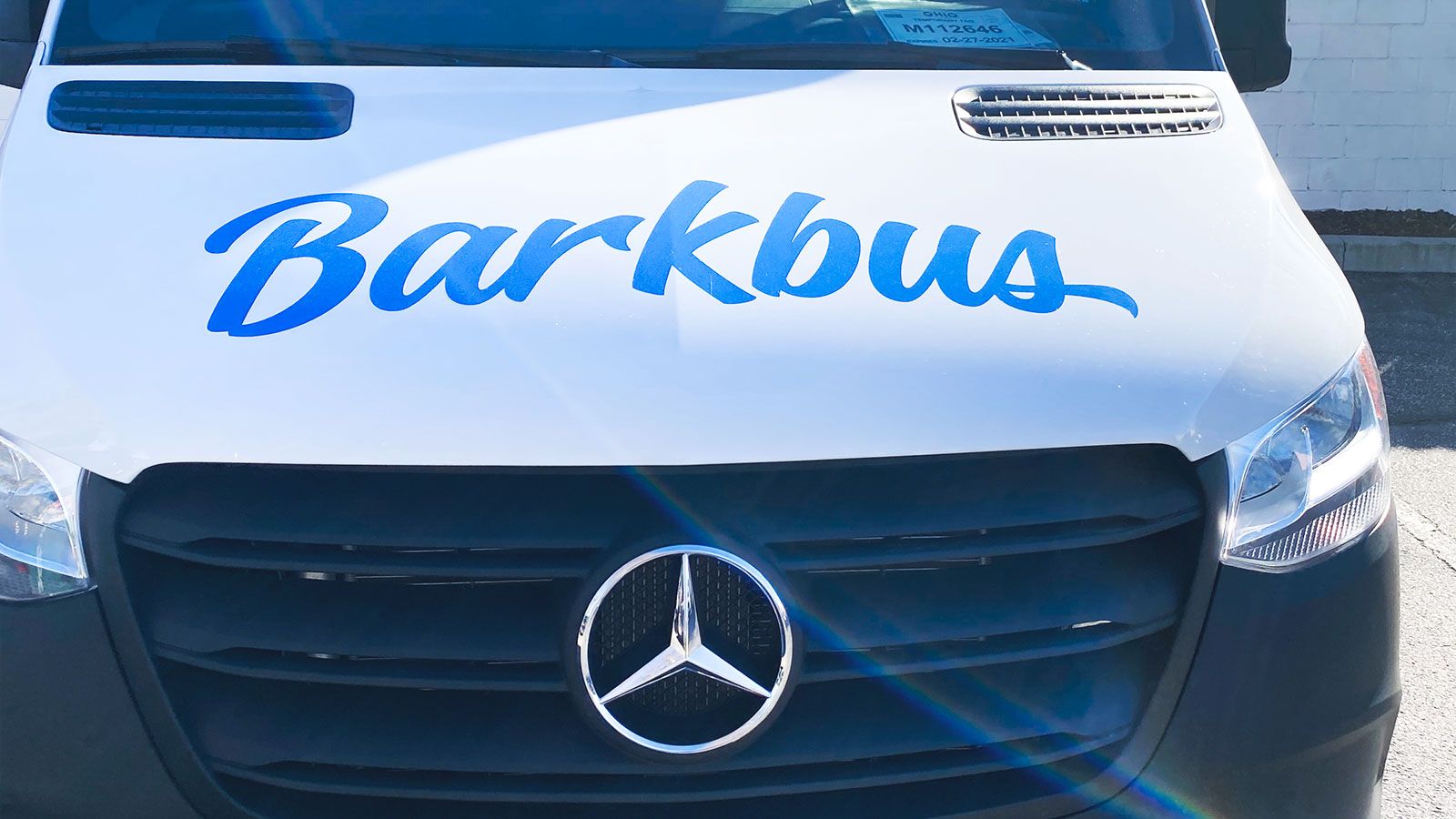 Barkbus van hood decals
