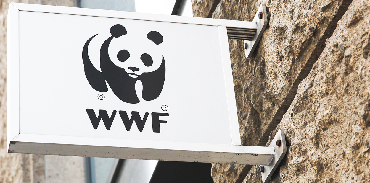 WWF brand advertising showing brand's identity