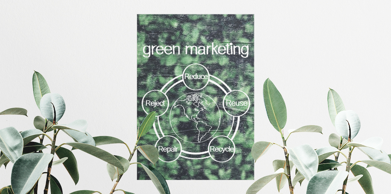 Green marketing graph displayed on the wall 