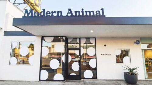 Modern animal window decals