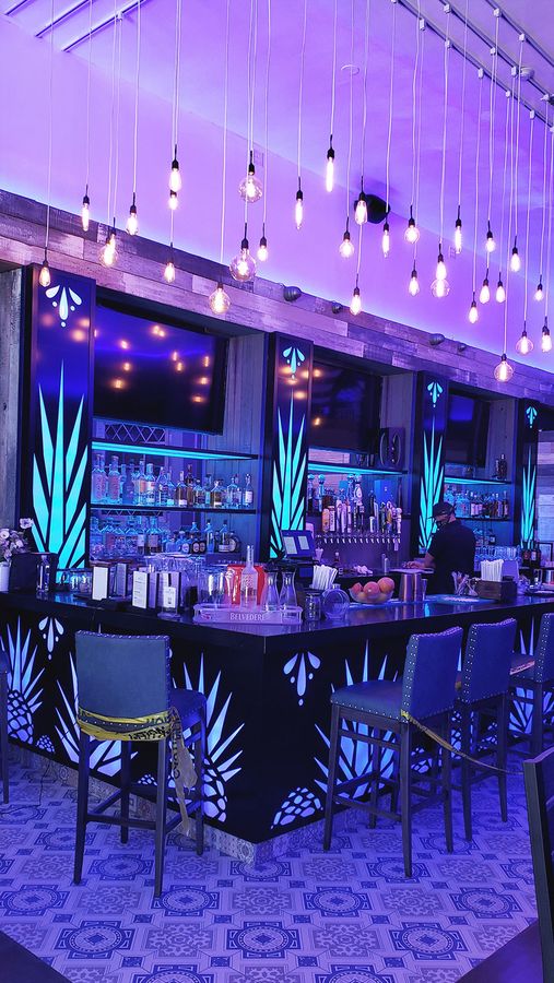 Agave Azul LED bar signs