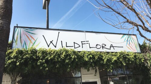 Wildflora design lighted signs