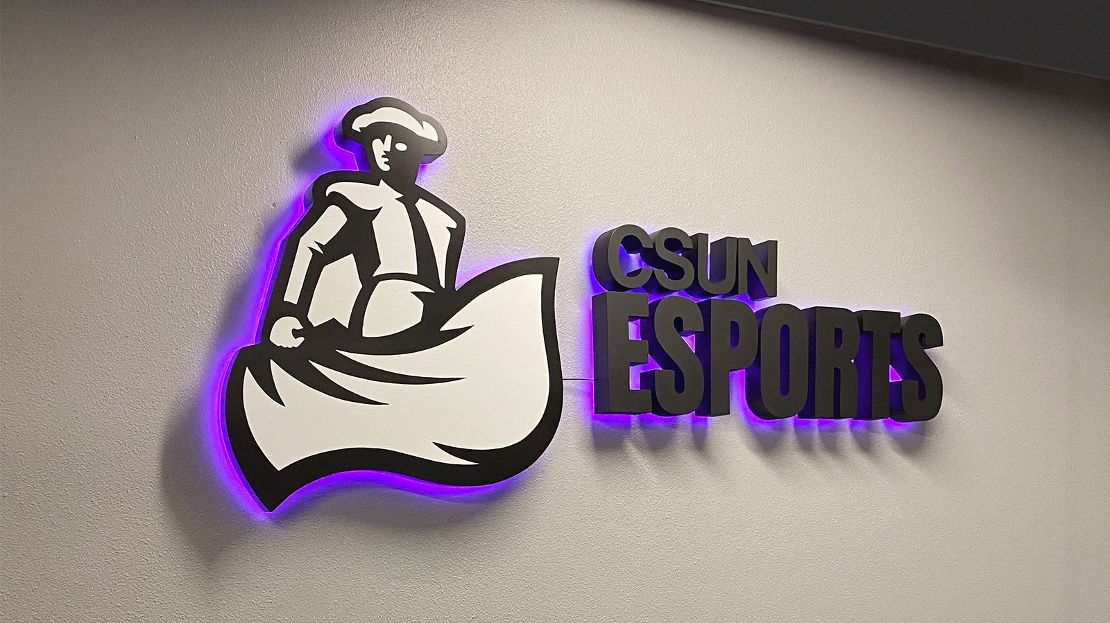 csun esports reverse channel letters