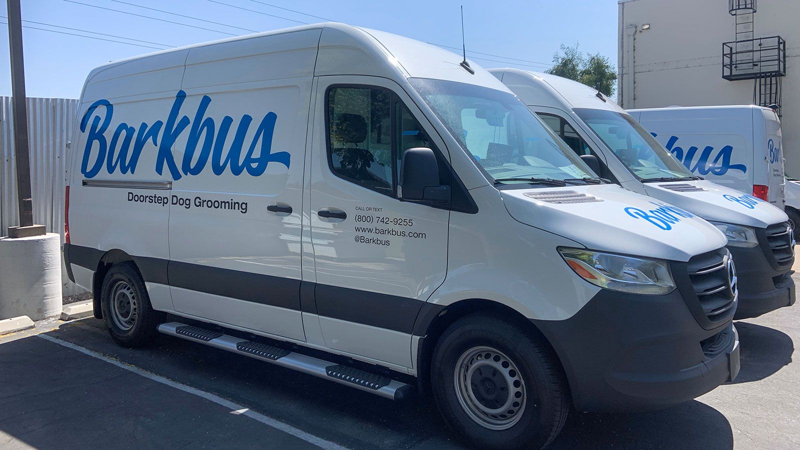 barkbus corporate van decals