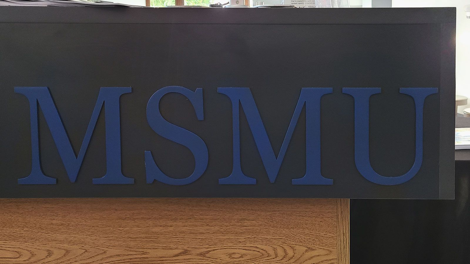 MSMU 3D letters