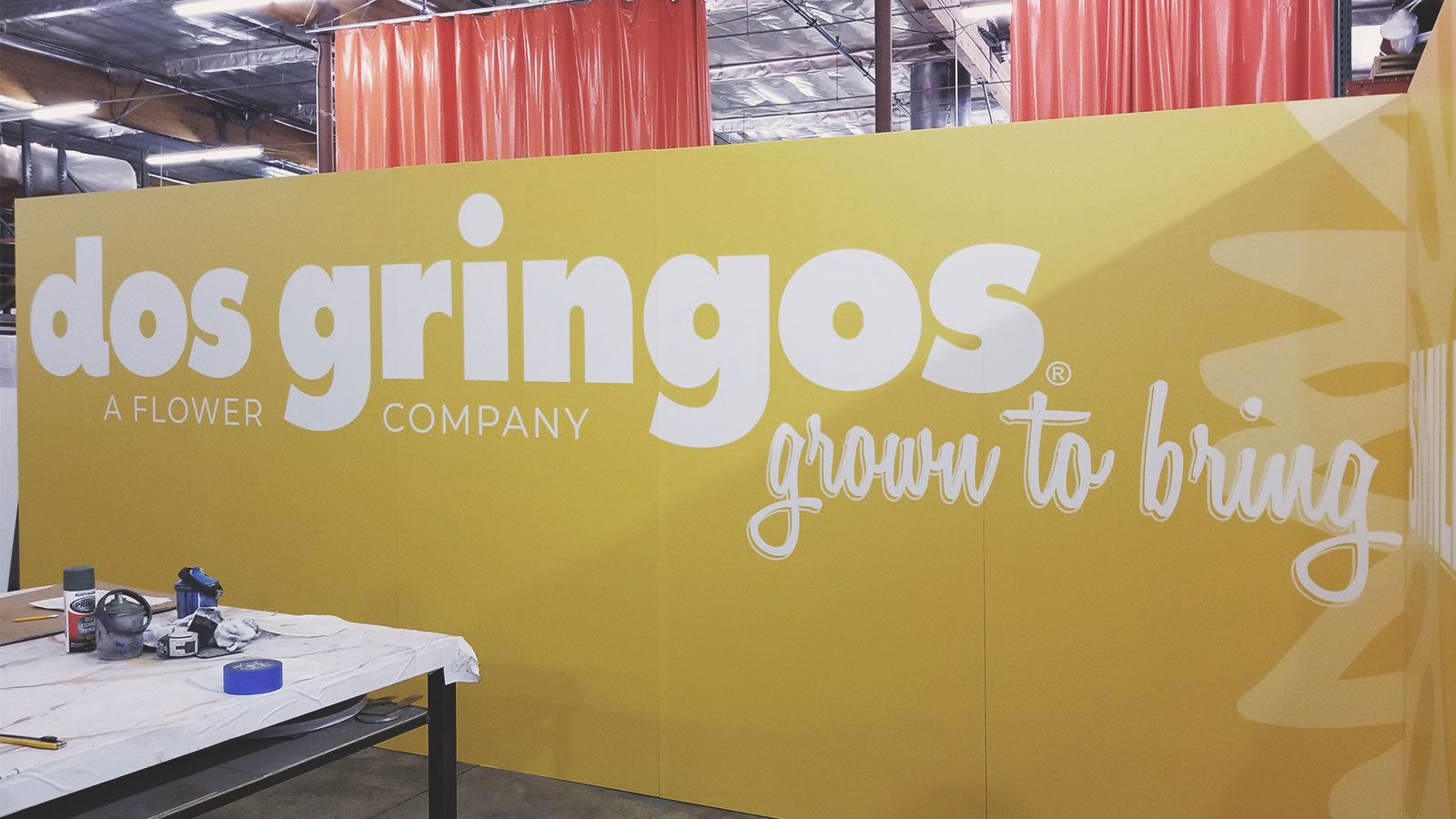 dos gringos gatorboard backdrop