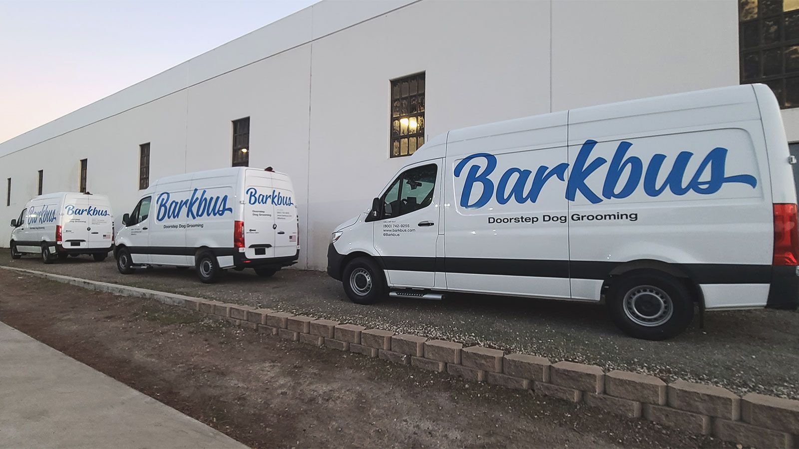 Barkbus fleet advertising decals