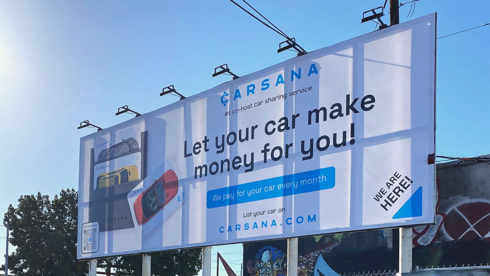 Carsana vinyl banner