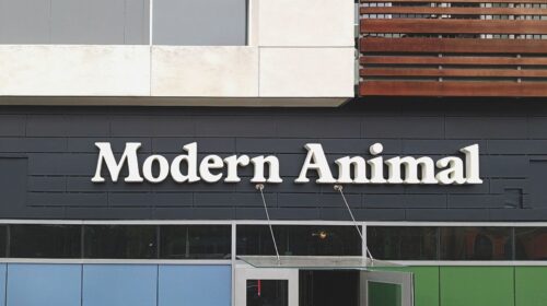 Modern Animal building sign