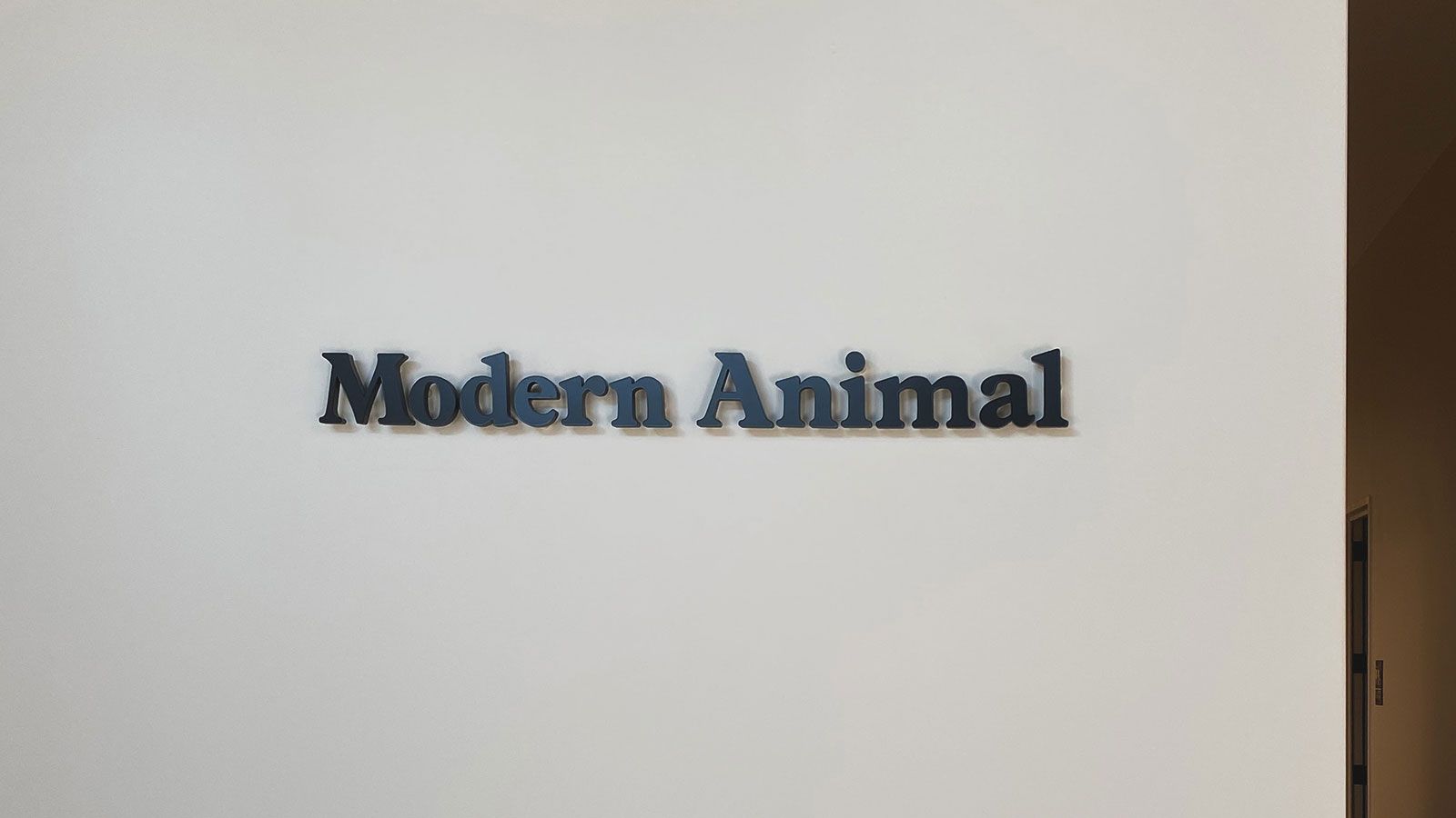 Modern Animal pin-mounted letters