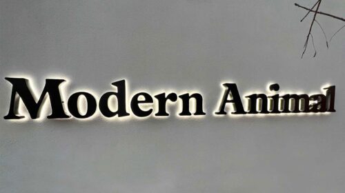 modern animal backlit led sign
