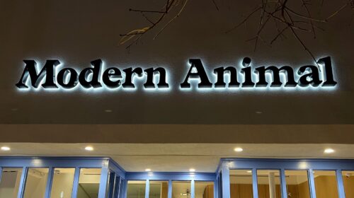 modern animal backlit letters