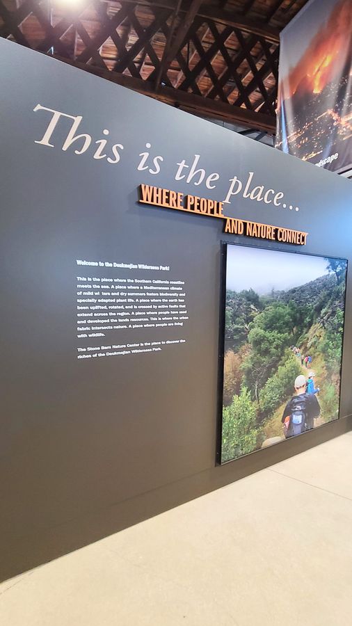 Museum wall vinyl lettering