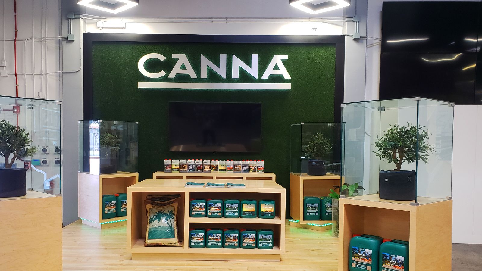 Canna backlit channel letters