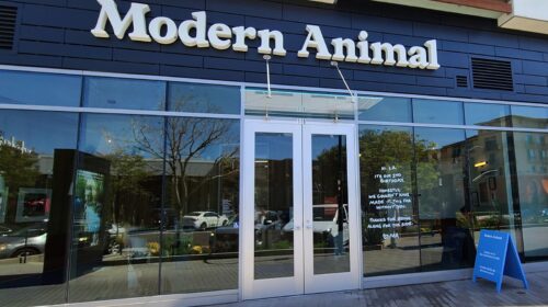 Modern Animal outdoor backlit sign