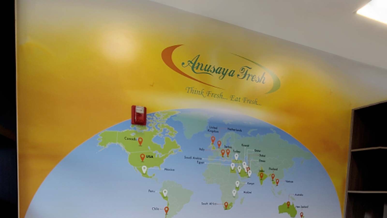 Anusaya Fresh branding wall decal