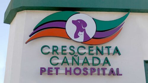 Crescenta Cañada Pet Hospital outdoor channel letters