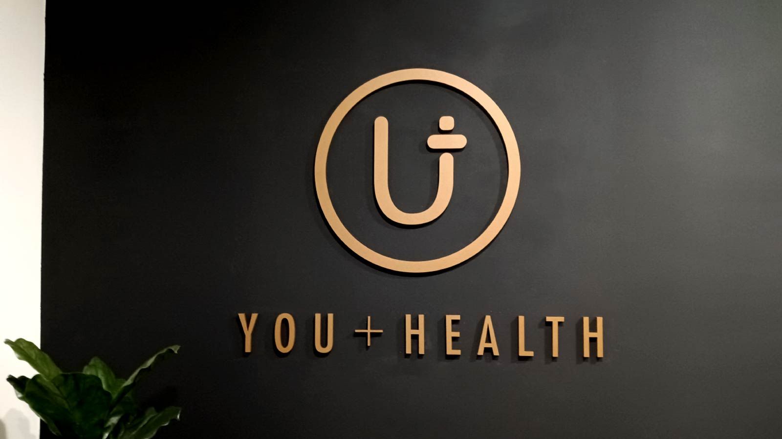 You Health 3D sign mounted on the wall