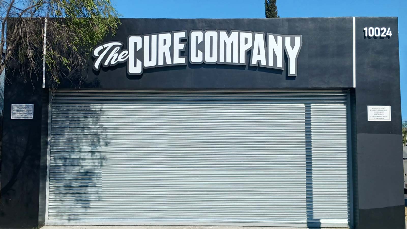 The Cure Company backlit letters attached to the wall